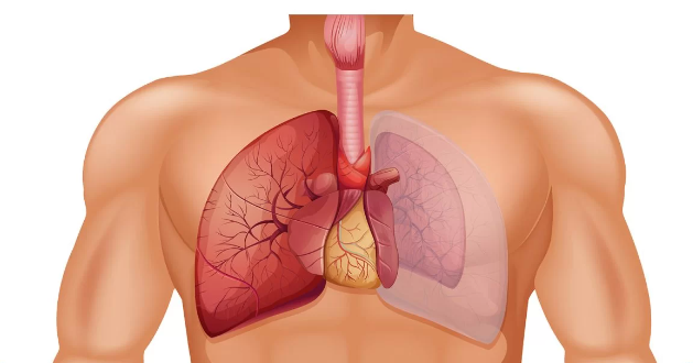 عوامل ایجاد کننده آمبولی ریه
